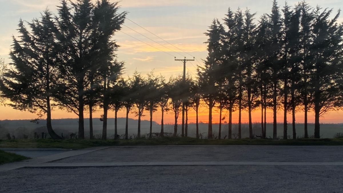 Middle-Aged Catch Up