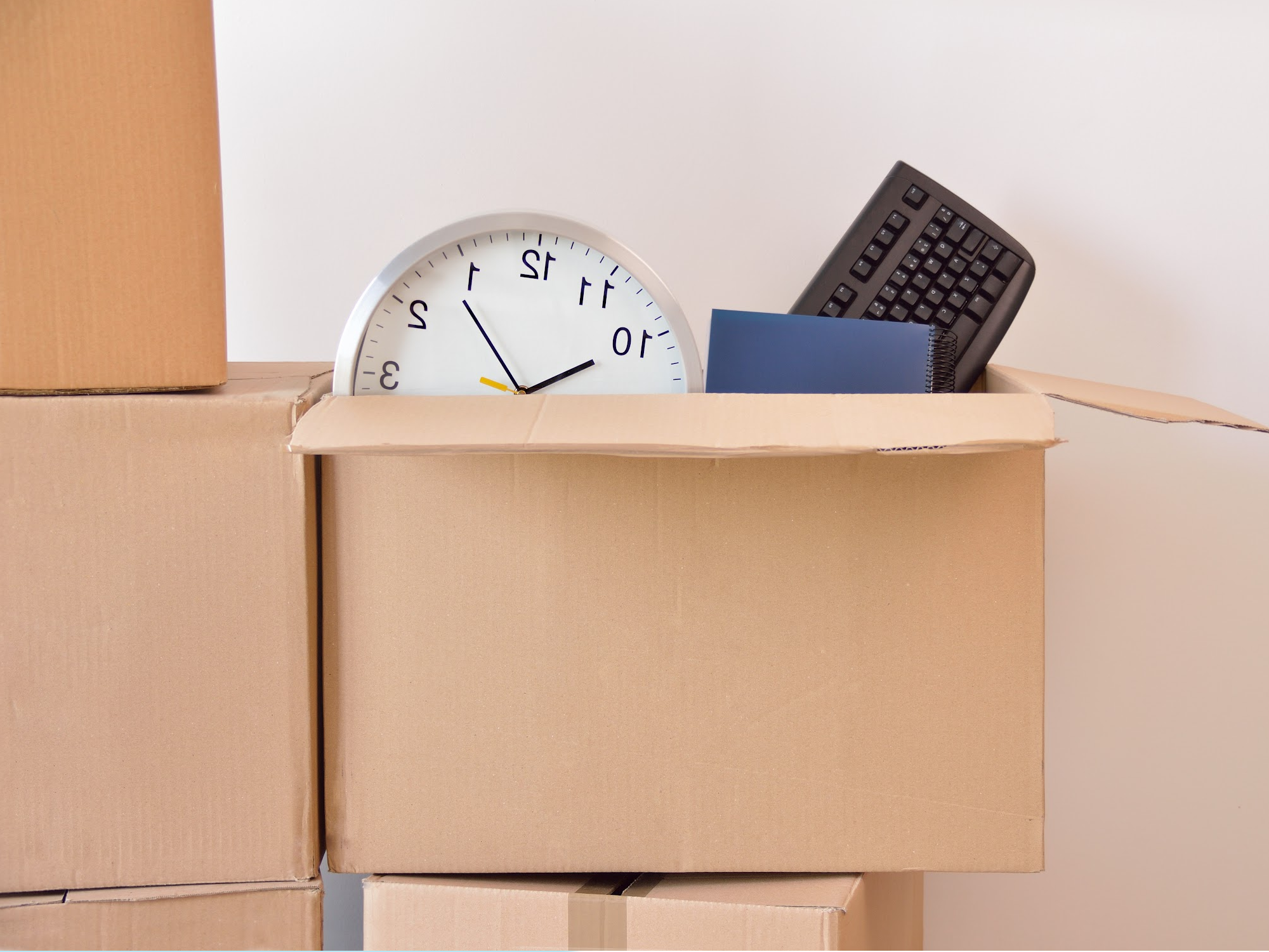 Moving Home and a Squirrel Video